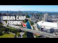 Urban Carp Fishing in a CRYSTAL CLEAR CANAL in City Centre - Urban Carp Adventures: Ottawa
