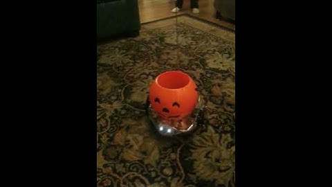 PumpkinBot