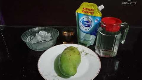 Tugas Bahasa Indonesia-Teks Prosedur Cara Membuat Jus Buah Mangga