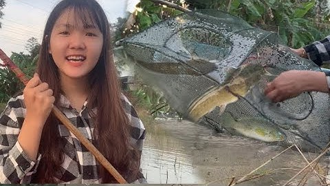 Thăm Bẫy Lưới Bát Quái Và Cái Kết Không Tưởng  | Ý Nhỏ TV