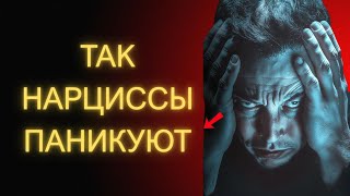 картинка: Нарциссы Впадают в ПАНИКУ Когда Ты Делаешь Это