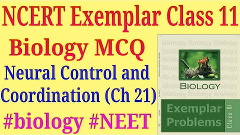 Neural control and coordination class 11 ncert exemplar mcq for NEET exam
