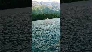 Stunning Flower In The Sparkling Lake