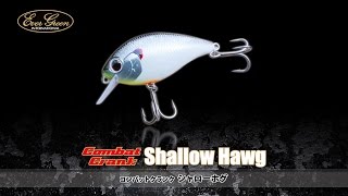 シャローホグ-菊元俊文が生解説-水中動画