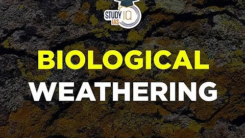 BIOLOGICAL WEATHERING | EARTH SCIENCE | 11-STEM HARDWORK | S2
