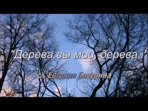 Дерева , вы мои дерева..(сл .Евгения Бачурина)