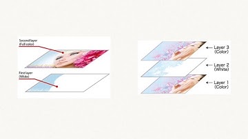 Mimaki Software RL RasterLink6