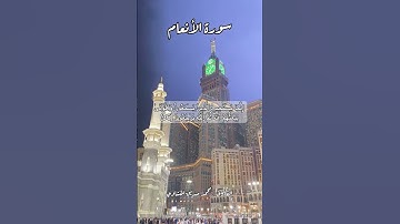 سورة الأنعام ٣٦ #quran #قران #قرآن #اكسبلور #قرآن_كريم #قرأن #قران_كريم