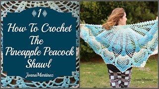 How To Crochet The Pineapple Peacock Shawl Part 1