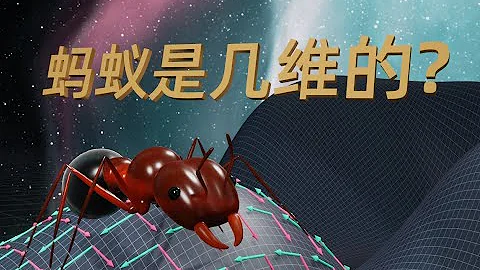 螞蟻是幾維的？ - 天天要聞