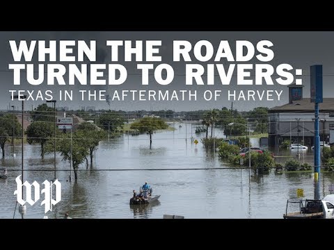 Video: Uraganul „Harvey” A Aruncat Pe Plajă, în Texas City, O Creatură Asemănătoare, Fără Ochi și Cu Dinți; Vedere Alternativă