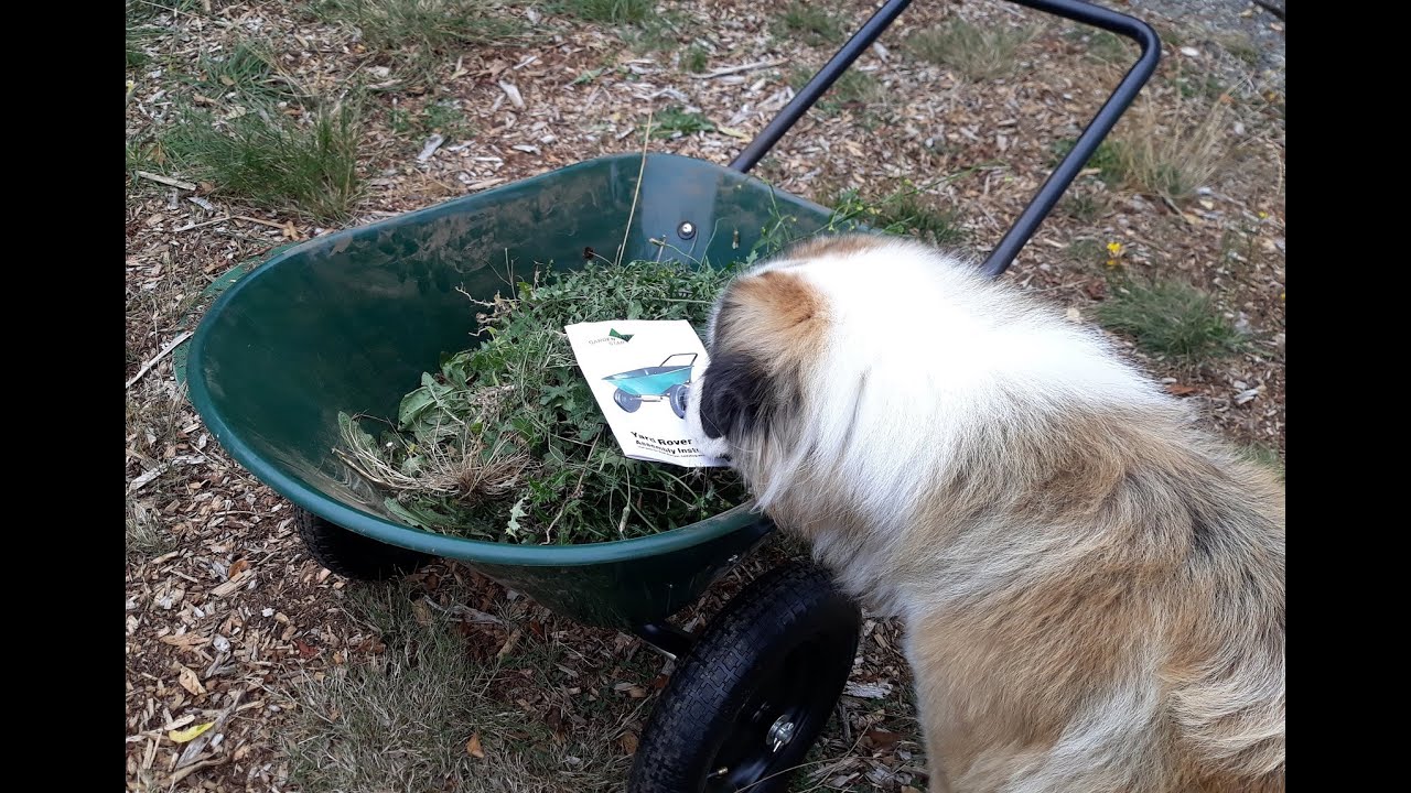 Marathon Garden Star Yard Rover Wheelbarrow YouTube