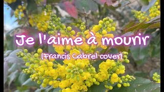 Je l'aime à mourir (reprise de Francis Cabrel)