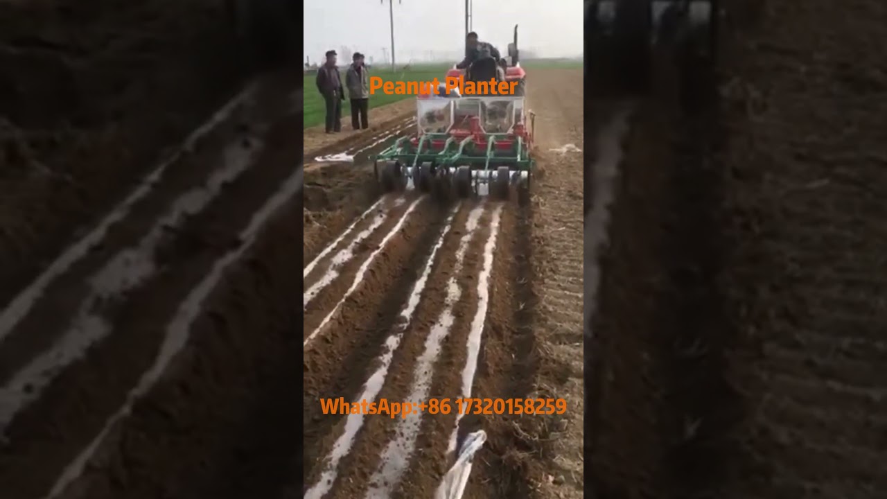 A New Era for Peanuts! Modern groundnut planter revealed! 🌱🚜 