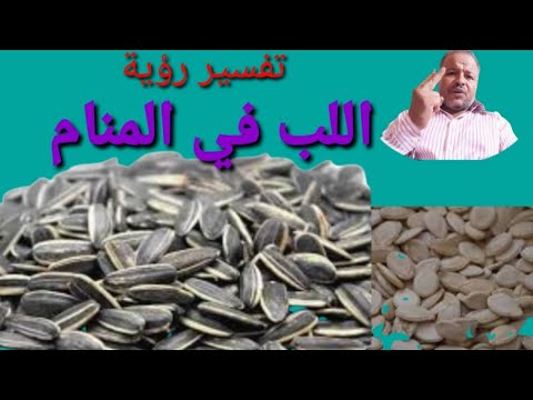 تفسير حلم رؤية اللب في المنام للرجل والمتزوجه والحامل والعزباء والمطلقه والأرمله