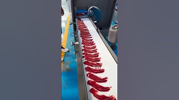 Commercial continuous slicing machine