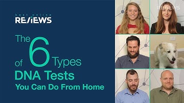 The 6 Types of DNA Tests You Can Do at Home