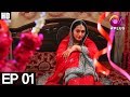 GhareebZaadi Episode 1 | Aplus | Top Pakistani Dramas | C2Y1