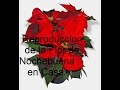 Flor de Nochebuena Reproduccion en Casa