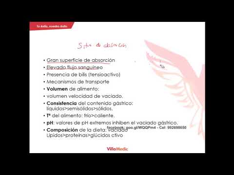volumen de próstata y salmista