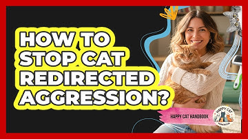How To Stop Cat Redirected Aggression?
