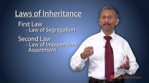 Unit 4 Video 2 Patterns of Inheritance