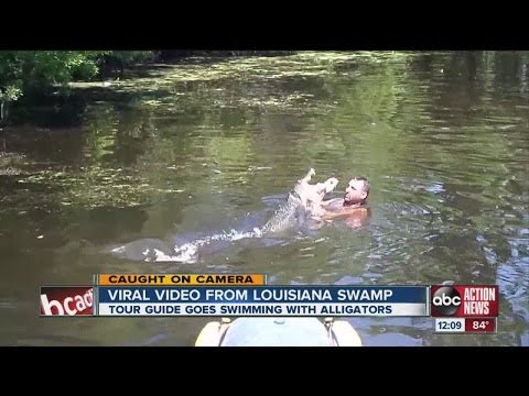 Video: Louisiana Swamp Tour Guide Feeds Gators Chicken, Marshmallows