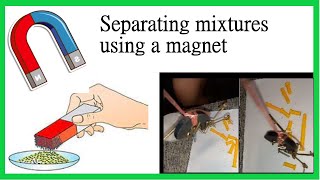 Separating Mixtures | Using a Magnet | Science | Grade 6