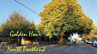 Golden Hour in North Portland with Beautiful Fall Colors 🏵️