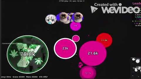 First Senpa.Io Video