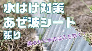 【水はけ対策】あぜ波シートを張って 水路からの水の浸入を防ぎたい！#17