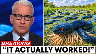 They Called Florida CRAZY For This Snake Plan... Then Nature Did SOMETHING INCREDIBLE