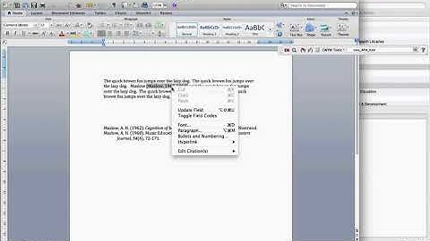 in text citation using EndNote  single author two works