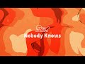 Capture de la vidéo Le Vibe - Nobody Knows (Official Music Video)