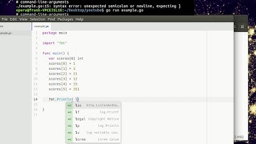 Golang - Array Length