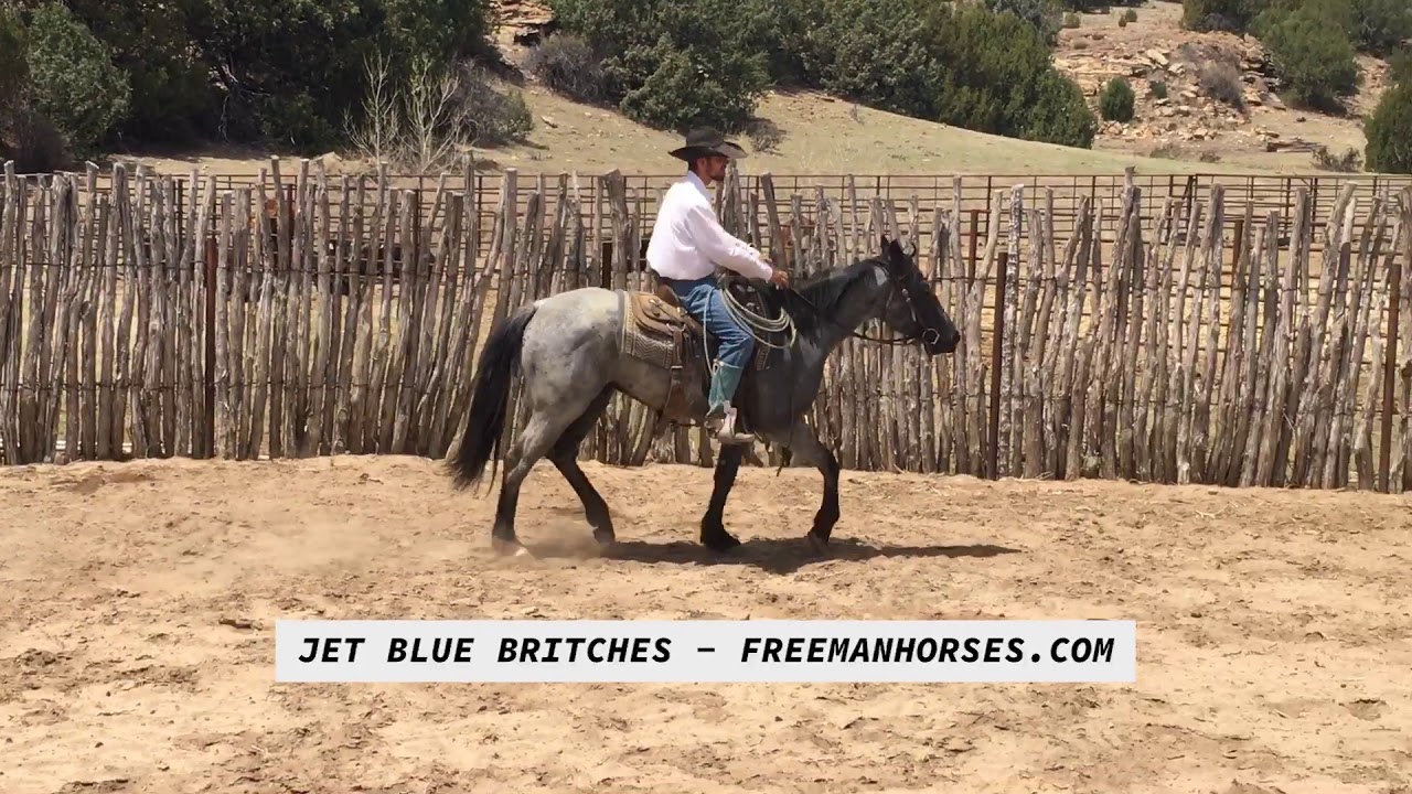 SOLD - Jet Blue Britches - Freeman Ranch