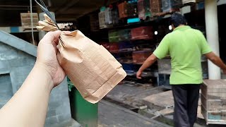 Bapaknya apa butuh duwit ya..Burung seperti ini diobral asal laku padahal mewah burungnya