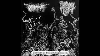 DISTRAUGHT - Reflected infraworld (Death metal, Mexico)