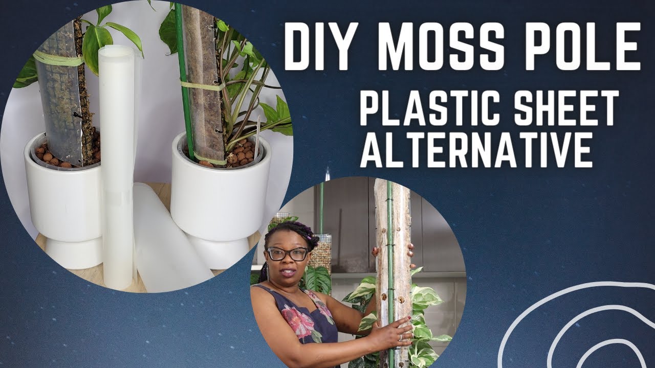 FREE and EASY alternative for Plastic Sheet Backed Moss Pole The Leca