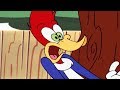 Woody Woodpecker Show | Nice and Quiet | Full Episode | Kids Cartoons | Videos For Kids