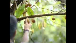 Download lagu Globaltv Gudang Garam Gold 21 35 (18/2)