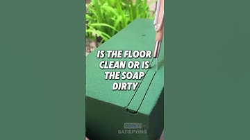 Mind-Bending Facts: Palindromes, Empire State Building Secrets, and More! #facts #shorts