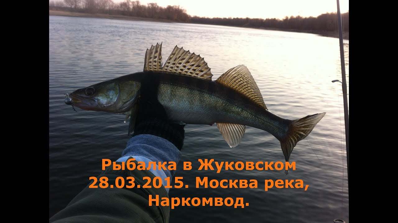 Рыбалка в Жуковском 28.03.2015. Москва река, Наркомвод. Закрытие сезона.
