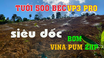 Tưới phun mưa 500 béc VP3 Pro bằng máy bơm 2HP | VNPLANT
