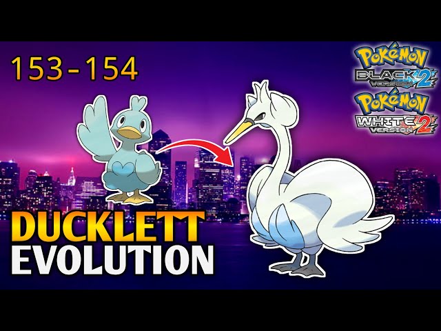 Ducklet First Evolution Ducklett Evolution Pokemon X
