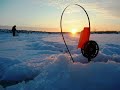 РЫБАЧИМ ЖЕРЛИЦАМИ на малой реке! Кое-как нашли живца!!! ЛОВЛЯ ЕЛЬЦА И ЕРША НА МОРМЫШКУ НА МОТЫЛЯ!