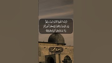 سورة محمد الآية ٣٥ الى ٣٧ بصوت الشيخ محمد صديق المنشاوي
