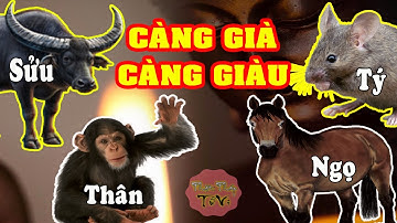 Bật Mí 4 Con Giáp KHỔ TRƯỚC SƯỚNG SAU, CÀNG GIÀ CÀNG GIÀU, TIỀN VÀNG NGẬP KÉT, Tiêu 3 Đời Không Hết