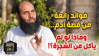 فوائد رائعة من قصة آدم.. وماذا لو لم يأكل من الشجرة؟!