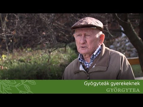 Videó: Milyen Kávét Lehet Adni A Gyerekeknek